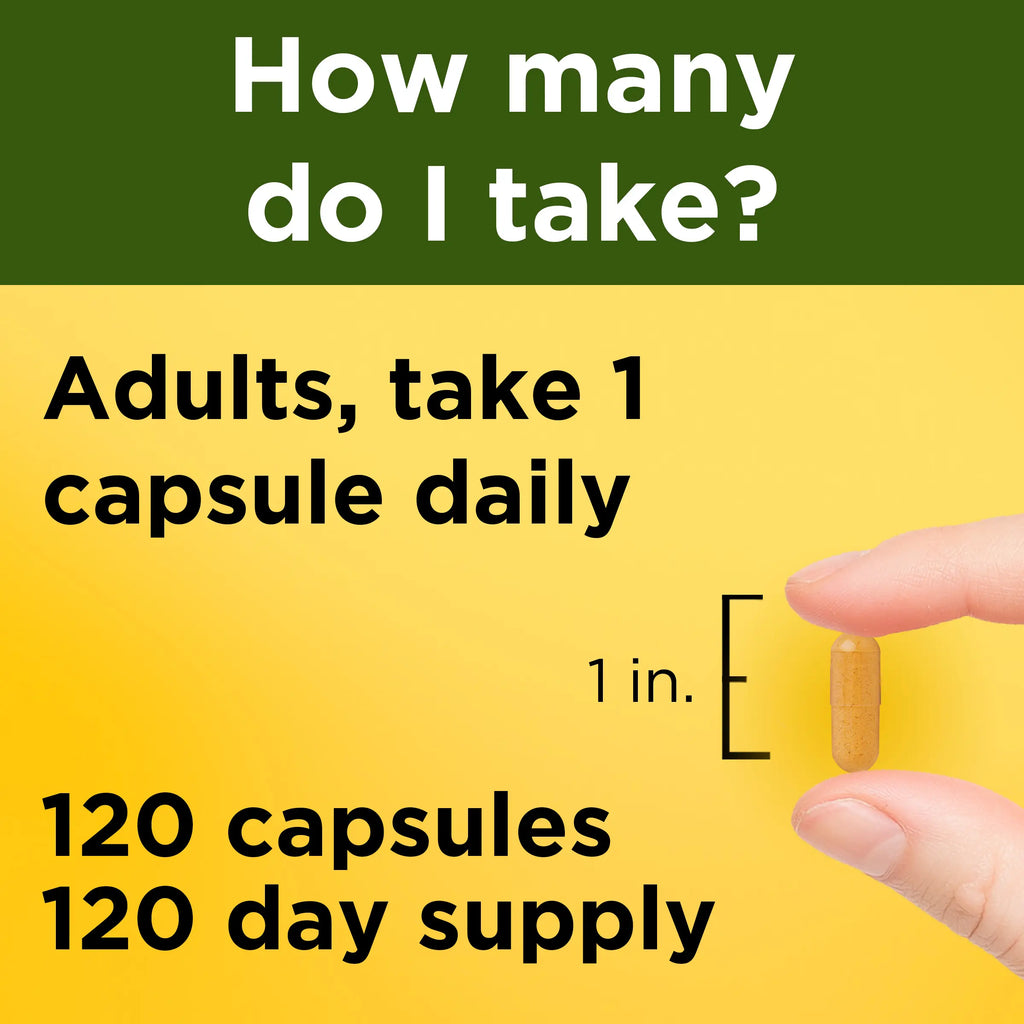 500 Mg Turmeric Curcumin Capsules